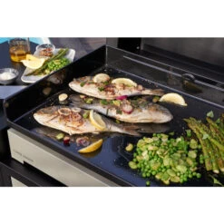 Plancha électrique Forge Adour PREMIUM 60 Acier Noir Et Gris -Barbecue Passion Soldes Magasin cuisson plancha premium 1